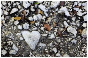 photo par Cécile B., photographe à Grenoble