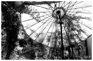 photo par Cécile B., photographe à Grenoble