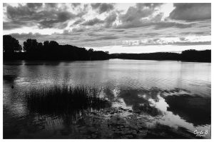 photo par Cécile B. photographe à Grenoble