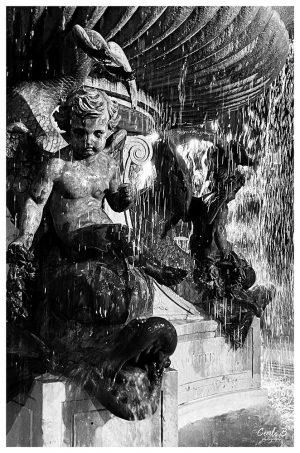 photo par Cécile B. photographe à Grenoble